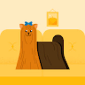 Meet your Posher, Paula